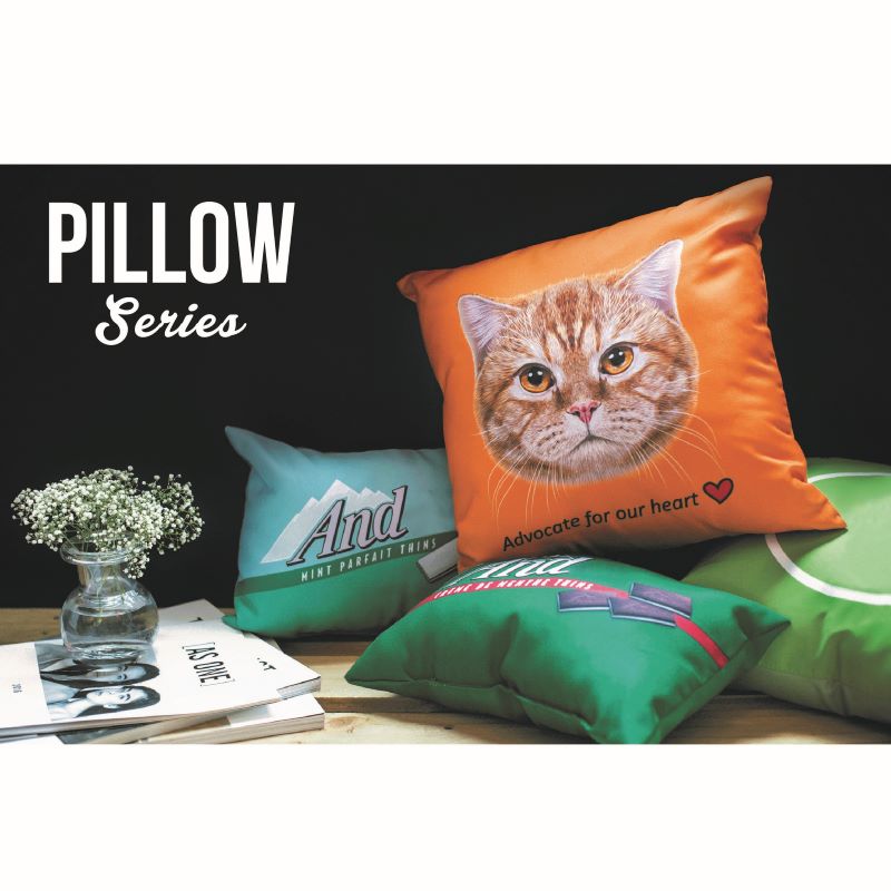 PILLOW-PIC-2.jpg