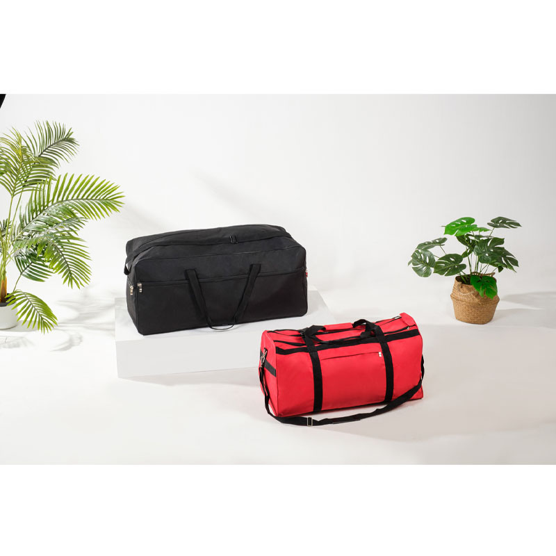 TRAVEL-BAG-2.jpg